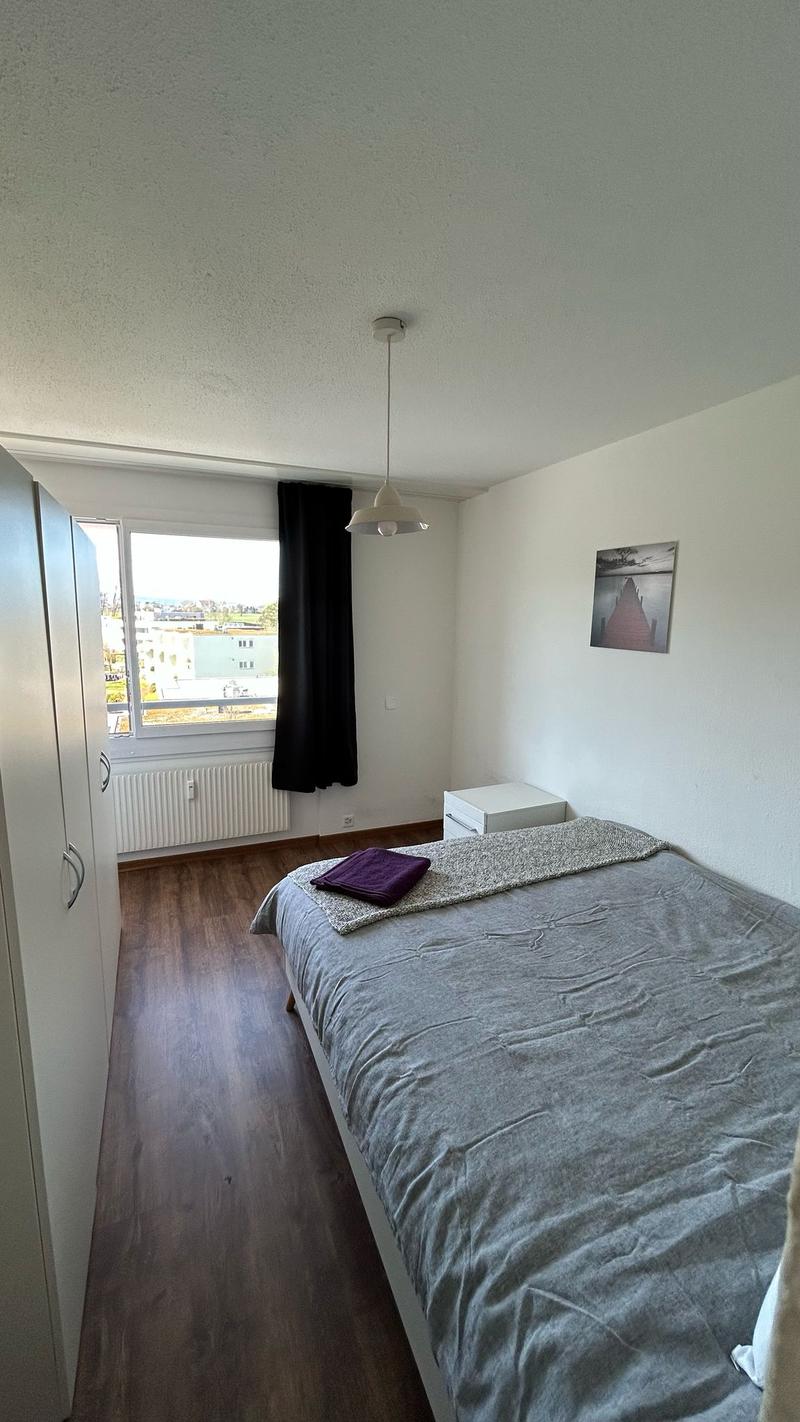 ☀️Furnished 4.5-Room Apartment with Balcony and Stunning Views in Oberglatt (9)