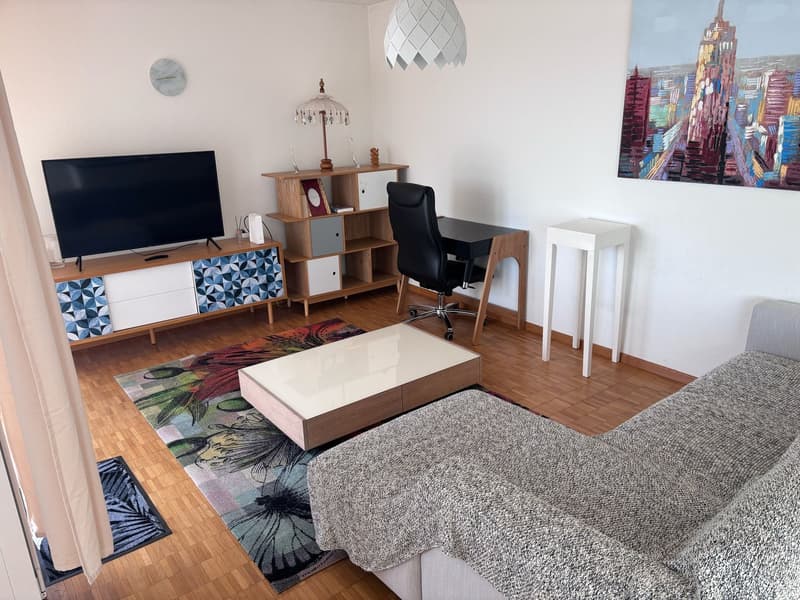 ☀️Furnished 4.5-Room Apartment with Balcony and Stunning Views in Oberglatt (1)