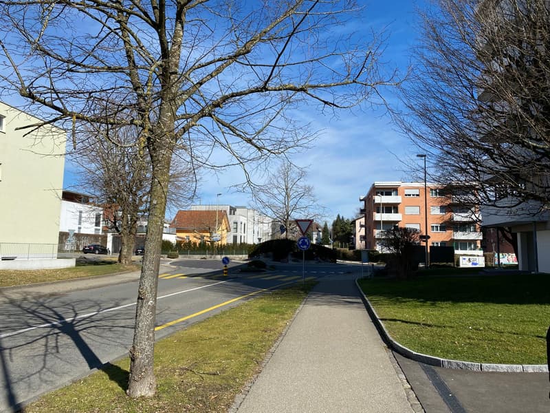 ☀️Furnished 4.5-Room Apartment with Balcony and Stunning Views in Oberglatt (20)
