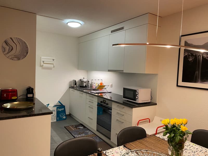 ☀️Furnished 4.5-Room Apartment with Balcony and Stunning Views in Oberglatt (14)