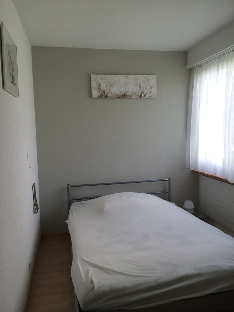 ⭐Charming Furnished 3.5-Room Apartment with Balcony in Opfikon (9)