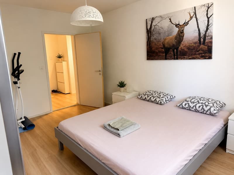✨Fully Furnished 2.5-Room Apartment with Balcony in Zürich-Schwamendingen (4)