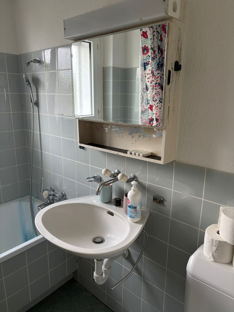 ✨ Fully Furnished 2.5-Room Apartment in Quiet Dübendorf (13)