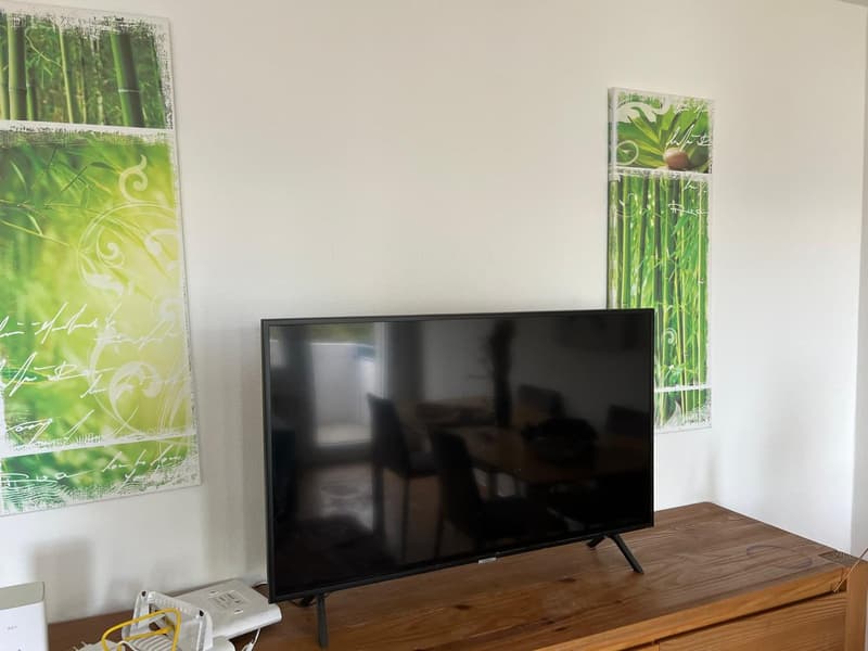 ✨ Fully Furnished 2.5-Room Apartment in Quiet Dübendorf (7)