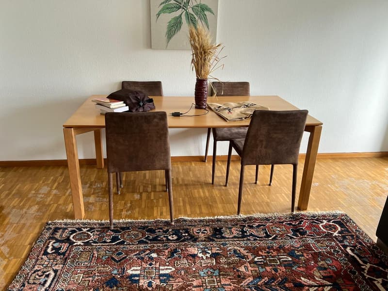 ✨ Fully Furnished 2.5-Room Apartment in Quiet Dübendorf (8)