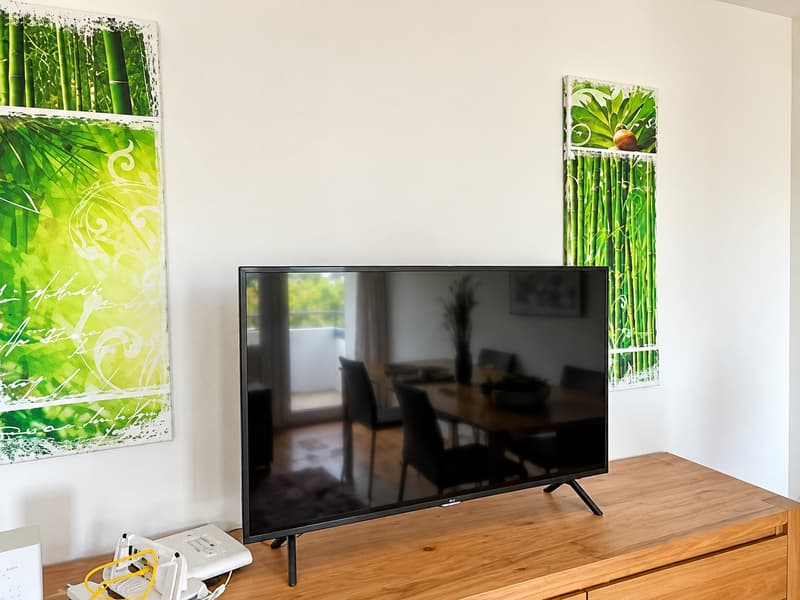 ✨ Fully Furnished 2.5-Room Apartment in Quiet Dübendorf (3)