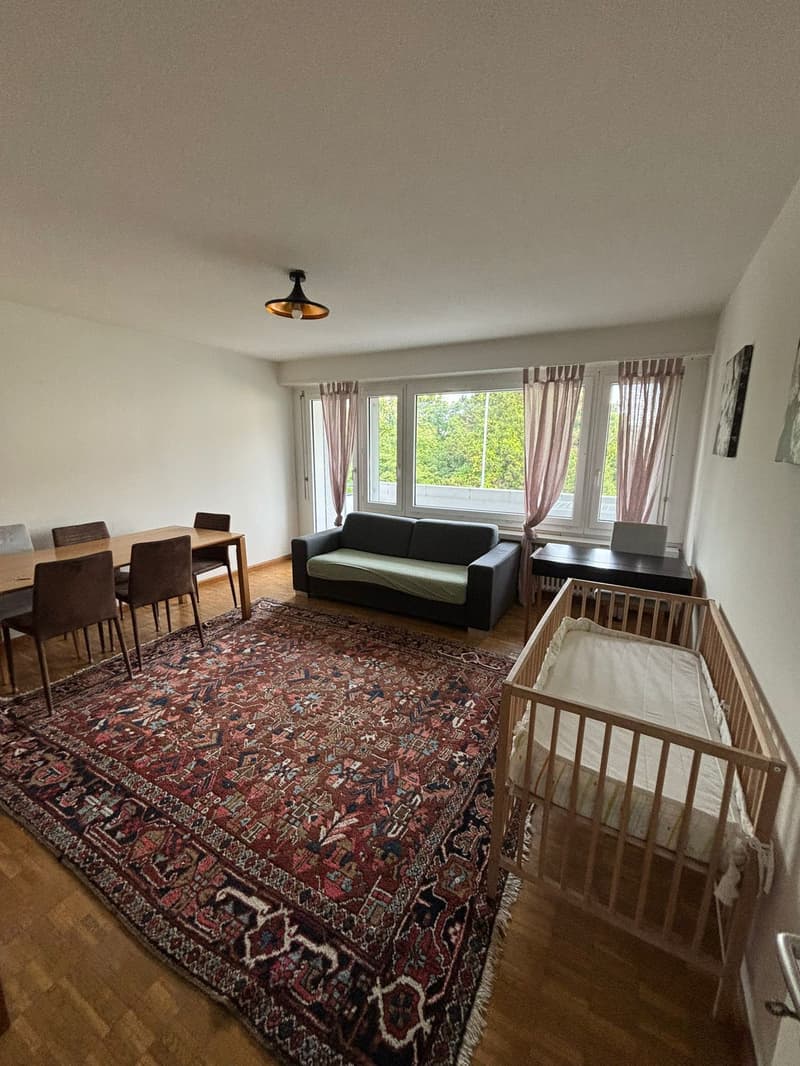 ✨ Fully Furnished 2.5-Room Apartment in Quiet Dübendorf (1)