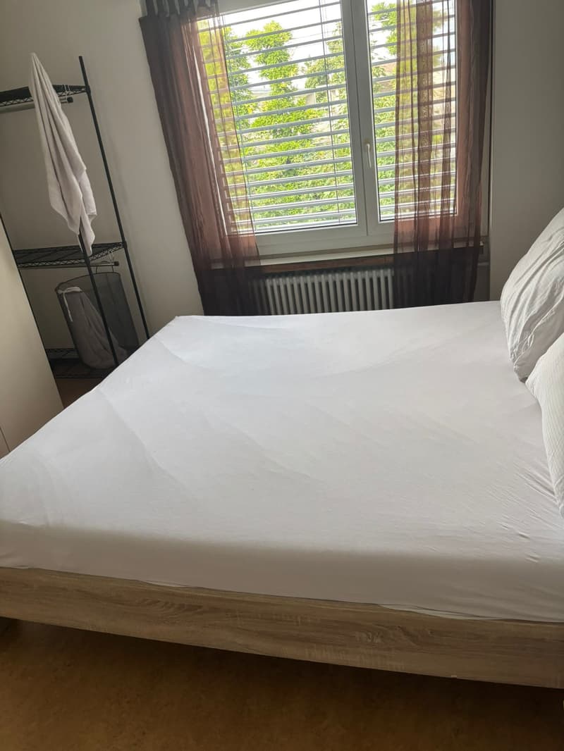 ✨ Fully Furnished 2.5-Room Apartment in Quiet Dübendorf (6)