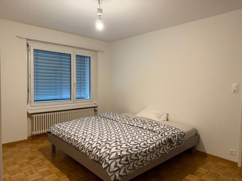 ✨Charming Furnished 2.5-Room Apartment with Balcony in Dübendorf (5)