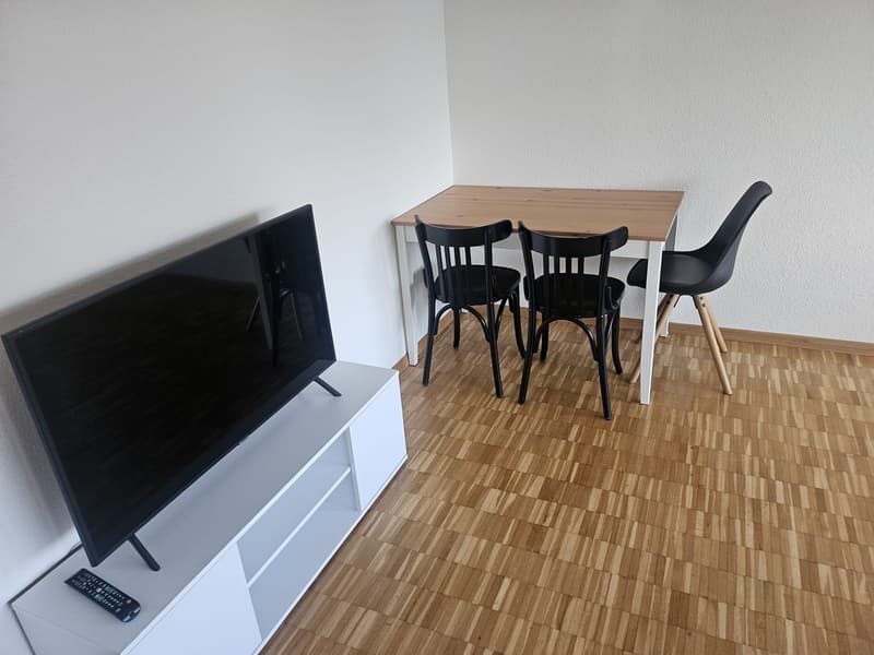 ✨Charming Furnished 2.5-Room Apartment with Balcony in Dübendorf (3)