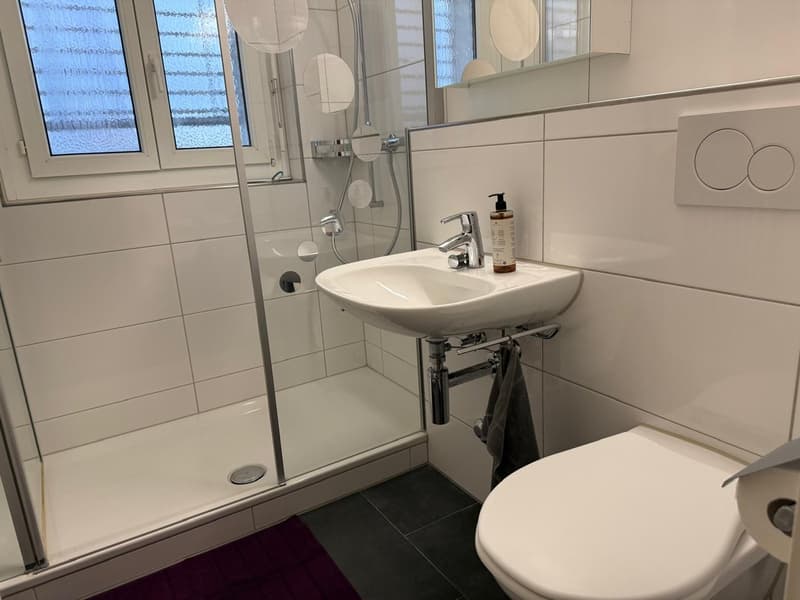 ✨Charming Furnished 2.5-Room Apartment with Balcony in Dübendorf (14)
