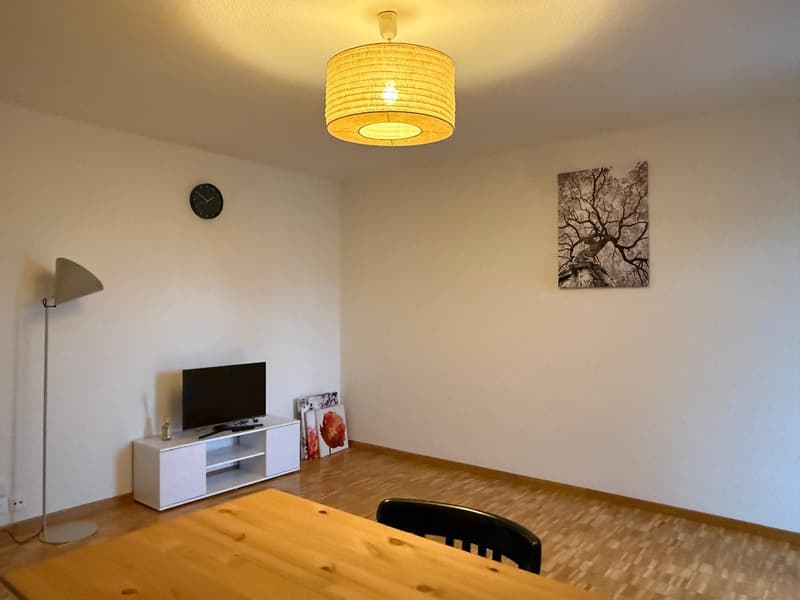 ✨Charming Furnished 2.5-Room Apartment with Balcony in Dübendorf (1)