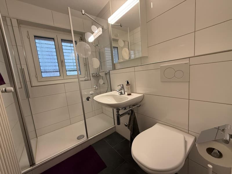 ✨Charming Furnished 2.5-Room Apartment with Balcony in Dübendorf (13)