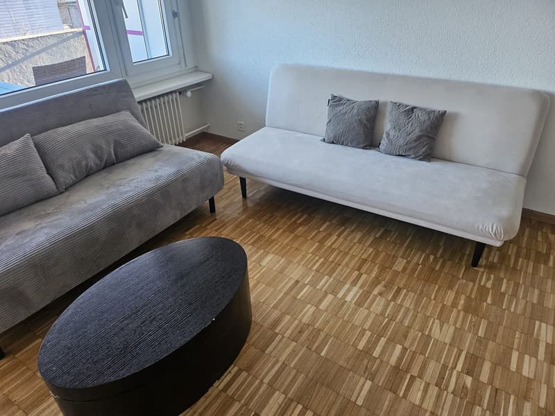 ✨Charming Furnished 2.5-Room Apartment with Balcony in Dübendorf (2)