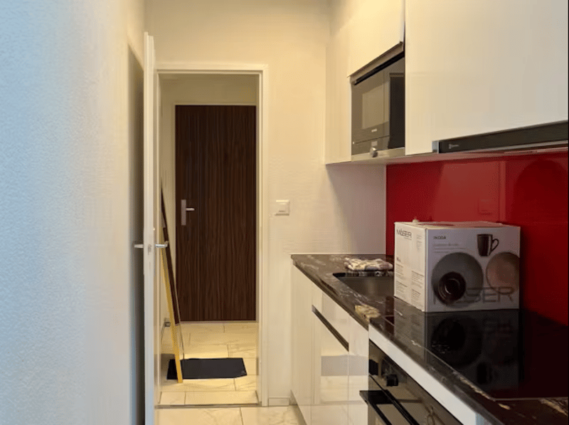 ✨Fully Furnished 1.5-Room Apartment in Langnau am Albis (7)