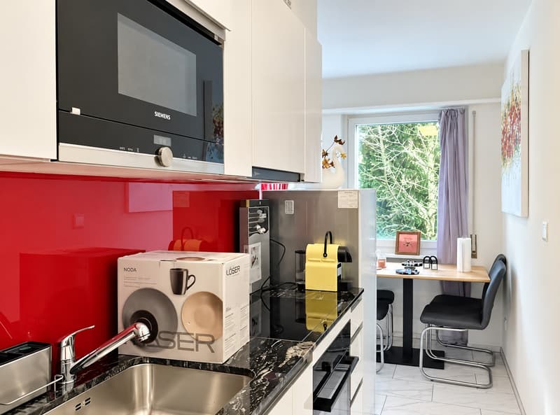 ✨Fully Furnished 1.5-Room Apartment in Langnau am Albis (6)
