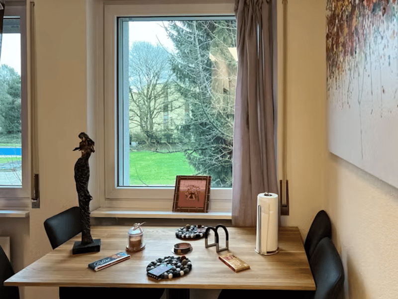 ✨Fully Furnished 1.5-Room Apartment in Langnau am Albis (5)