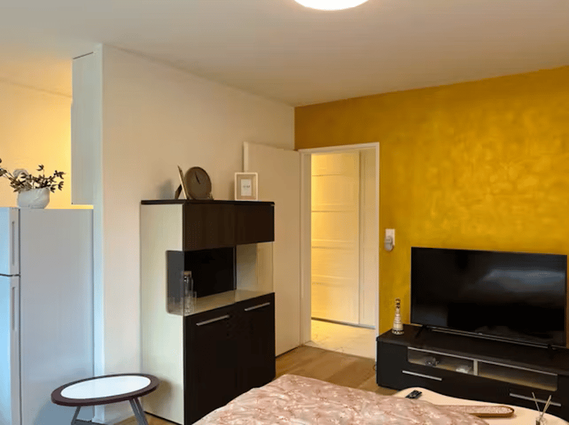 ✨Fully Furnished 1.5-Room Apartment in Langnau am Albis (3)