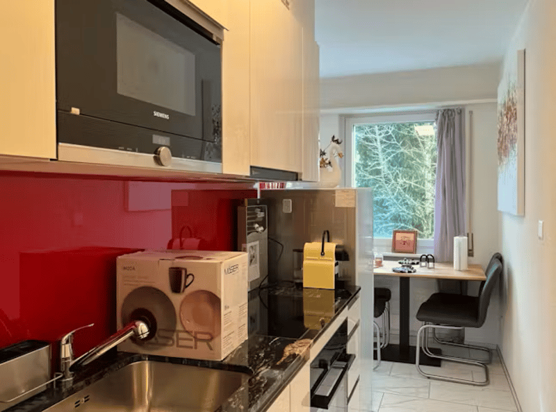 ✨Fully Furnished 1.5-Room Apartment in Langnau am Albis (4)