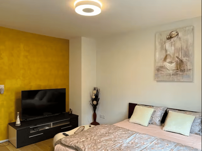 ✨Fully Furnished 1.5-Room Apartment in Langnau am Albis (2)