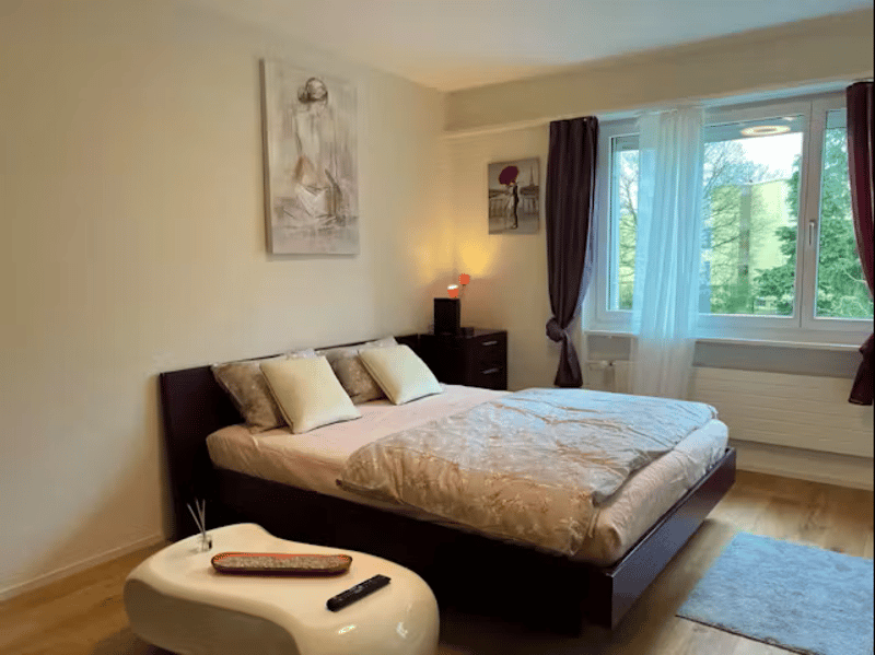 ✨Fully Furnished 1.5-Room Apartment in Langnau am Albis (1)