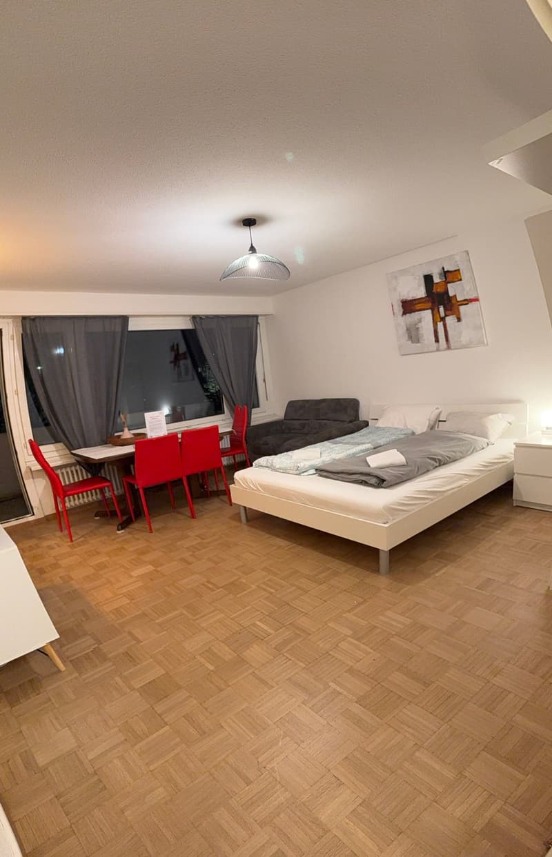 🏡 Fully Furnished 1.5-Room Apartment with Balcony in Dübendorf (1)