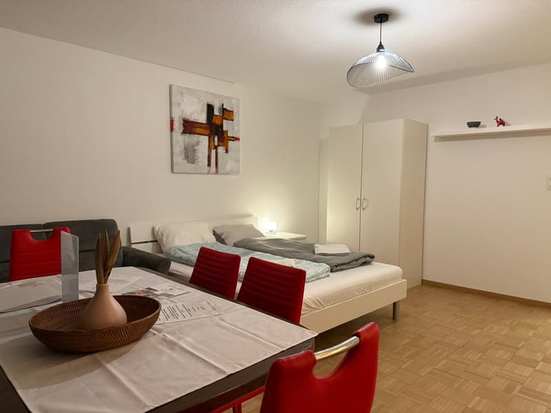 🏡 Fully Furnished 1.5-Room Apartment with Balcony in Dübendorf (5)