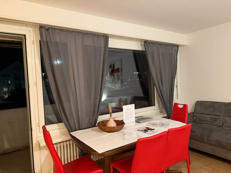 🏡 Fully Furnished 1.5-Room Apartment with Balcony in Dübendorf (7)