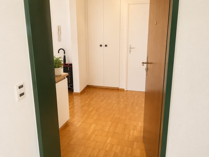 💎Charming Furnished 2.5-Room Apartment with Balcony and Beautiful Views in Adliswil (9)