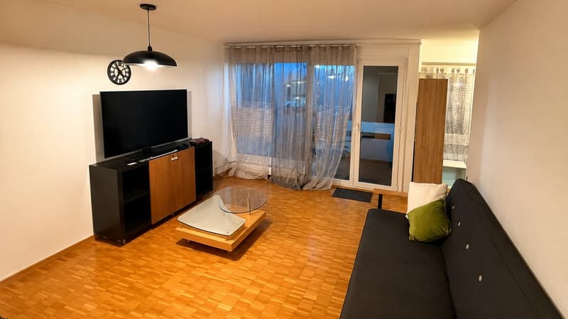 💎Charming Furnished 2.5-Room Apartment with Balcony and Beautiful Views in Adliswil (3)