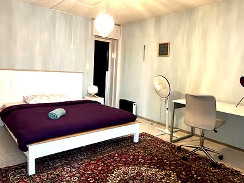 💎Charming Furnished 4.5-Room Apartment with Balcony in Dübendorf (13)