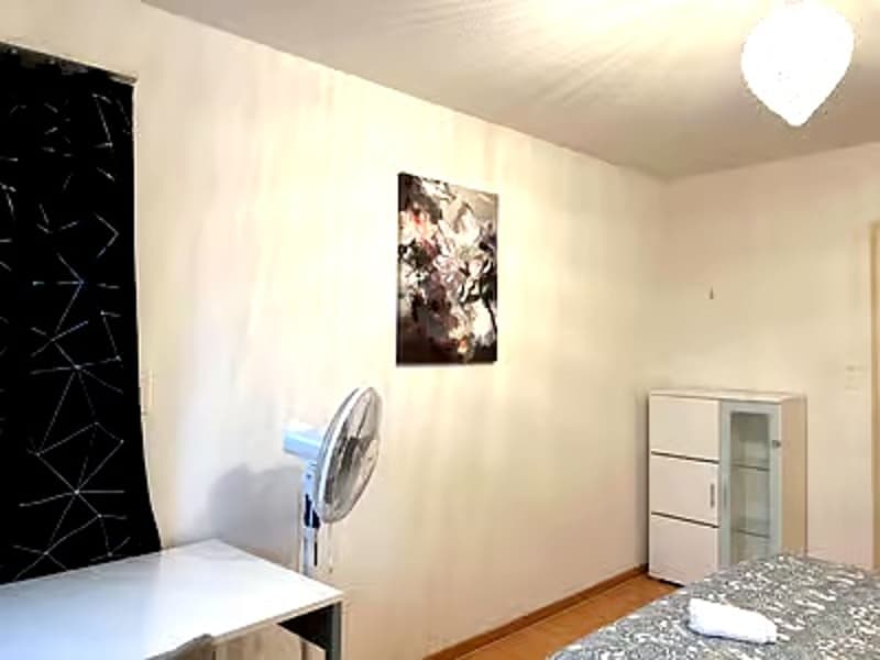 💎Charming Furnished 4.5-Room Apartment with Balcony in Dübendorf (18)