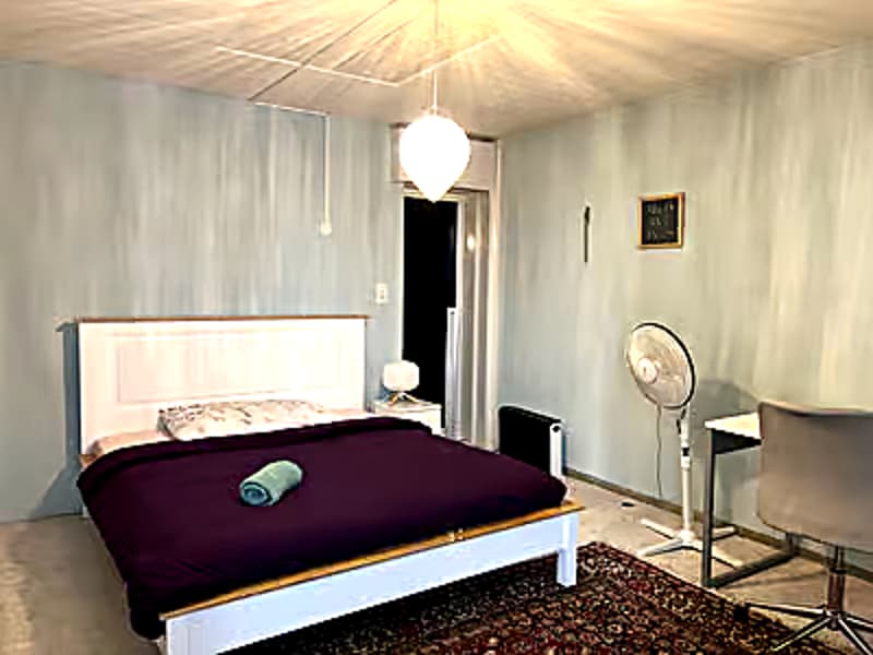 💎Charming Furnished 4.5-Room Apartment with Balcony in Dübendorf (11)