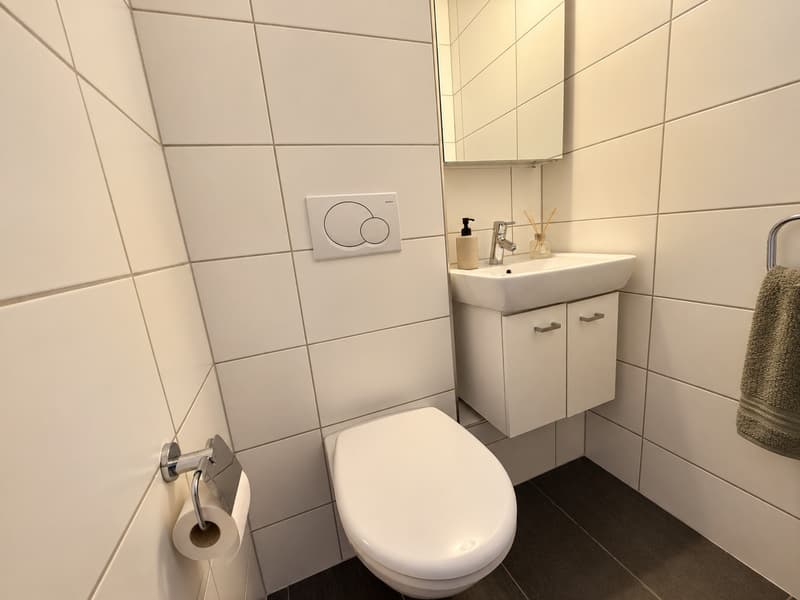 Newly Furnished 3.5-Room Apartment with Balcony and Beautiful Views in Zürich Oerlikon (6)
