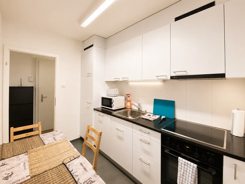 🌟 Cozy 1.5-Room Studio Apartment in Zürich Oerlikon (4)