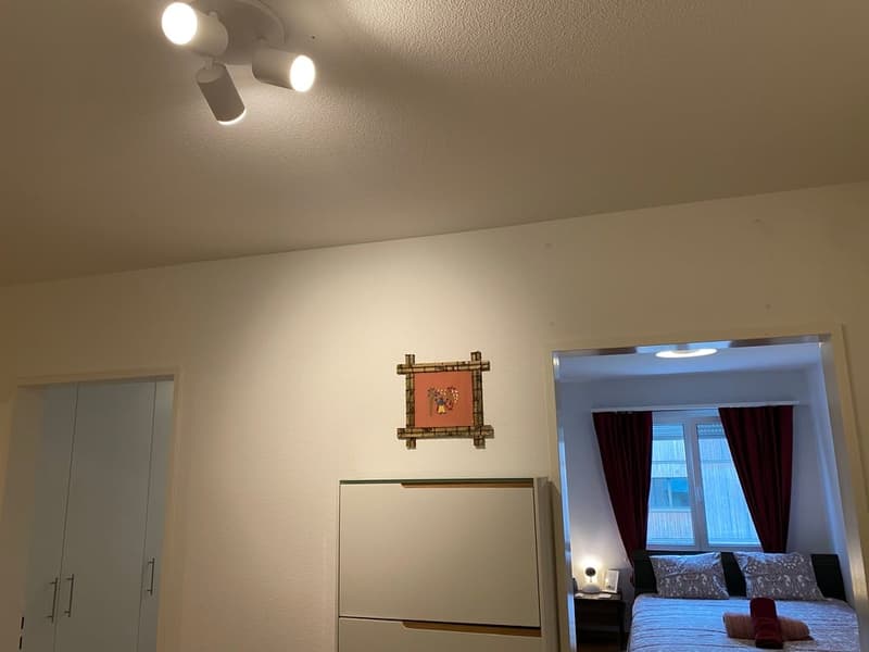 💎 Elegant Furnished 4.5-Room Home with a Beautiful Balcony in Seebach (21)