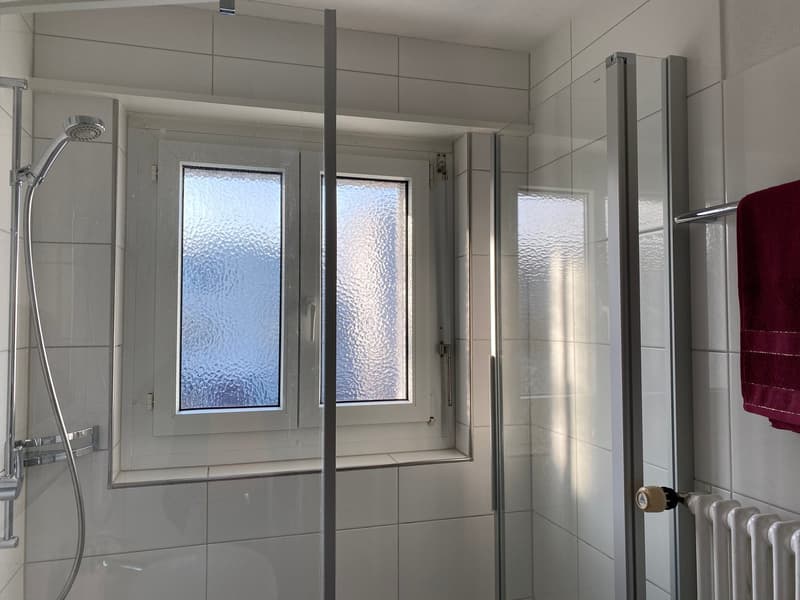 🏡 Furnished 2.5-Room Apartment with Private Balcony in Dübendorf – 8600 (11)