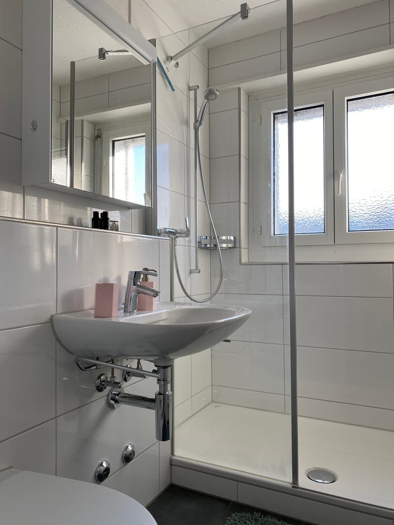 🏡 Furnished 2.5-Room Apartment with Private Balcony in Dübendorf – 8600 (12)