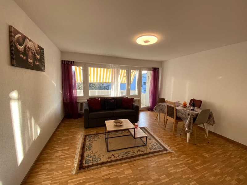 🏡 Furnished 2.5-Room Apartment with Private Balcony in Dübendorf – 8600 (3)