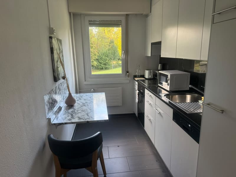 Fully Furnished 3.5-Room Apartment with 2 Bedrooms, 2 Bathrooms & Private Patio | Zürich 8051 (6)