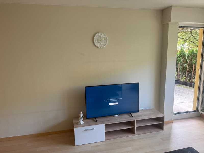 Fully Furnished 3.5-Room Apartment with 2 Bedrooms, 2 Bathrooms & Private Patio | Zürich 8051 (2)