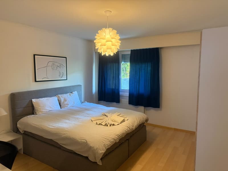 Fully Furnished 3.5-Room Apartment with 2 Bedrooms, 2 Bathrooms & Private Patio | Zürich 8051 (4)