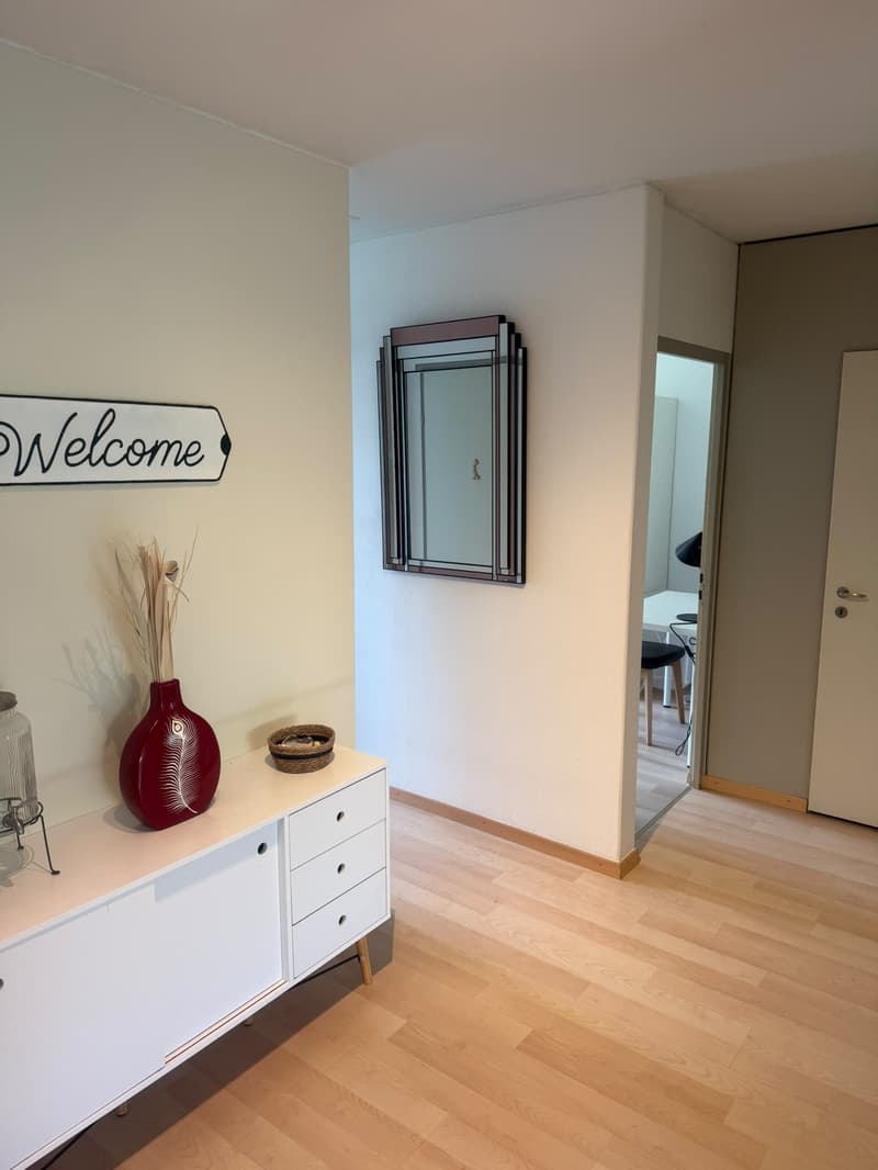 Fully Furnished 3.5-Room Apartment with 2 Bedrooms, 2 Bathrooms & Private Patio | Zürich 8051 (8)