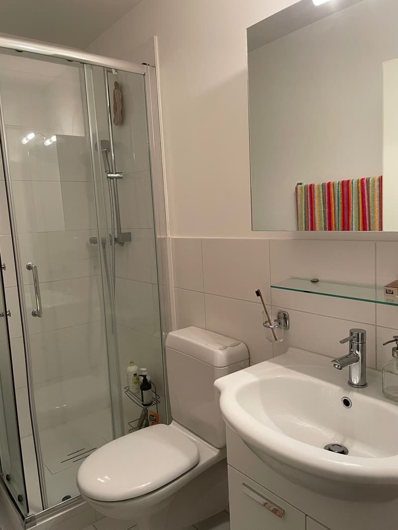 White tiled bathroom with walk-in shower, white sink, white toilet, mirror with shelf, toiletries