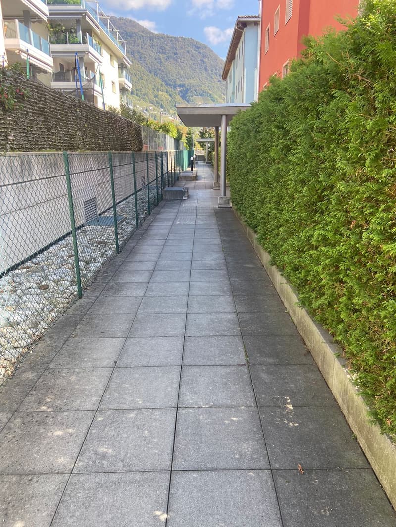 A paved walkway between buildings, with a fence, a row of bushes, and a small building.