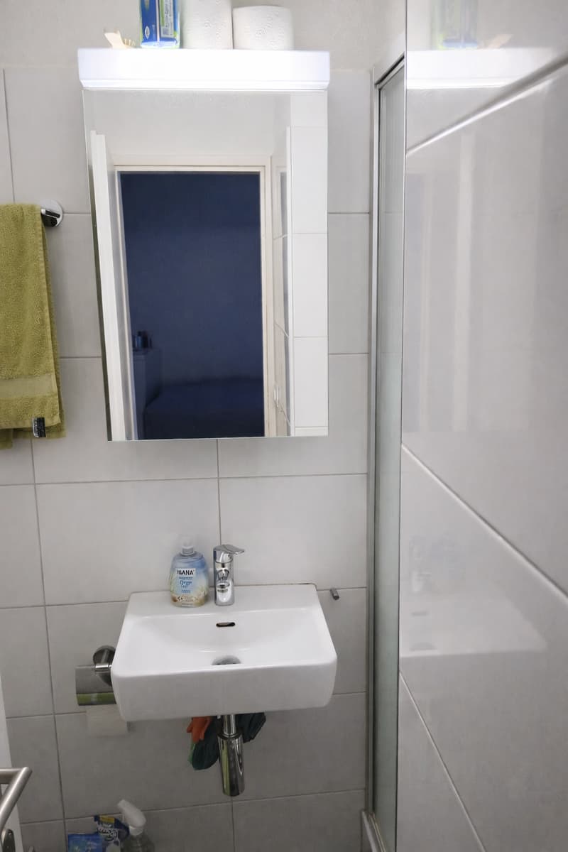Gemütliches 1-Zimmer-Apartment im 1. OG in Winterthur (4)