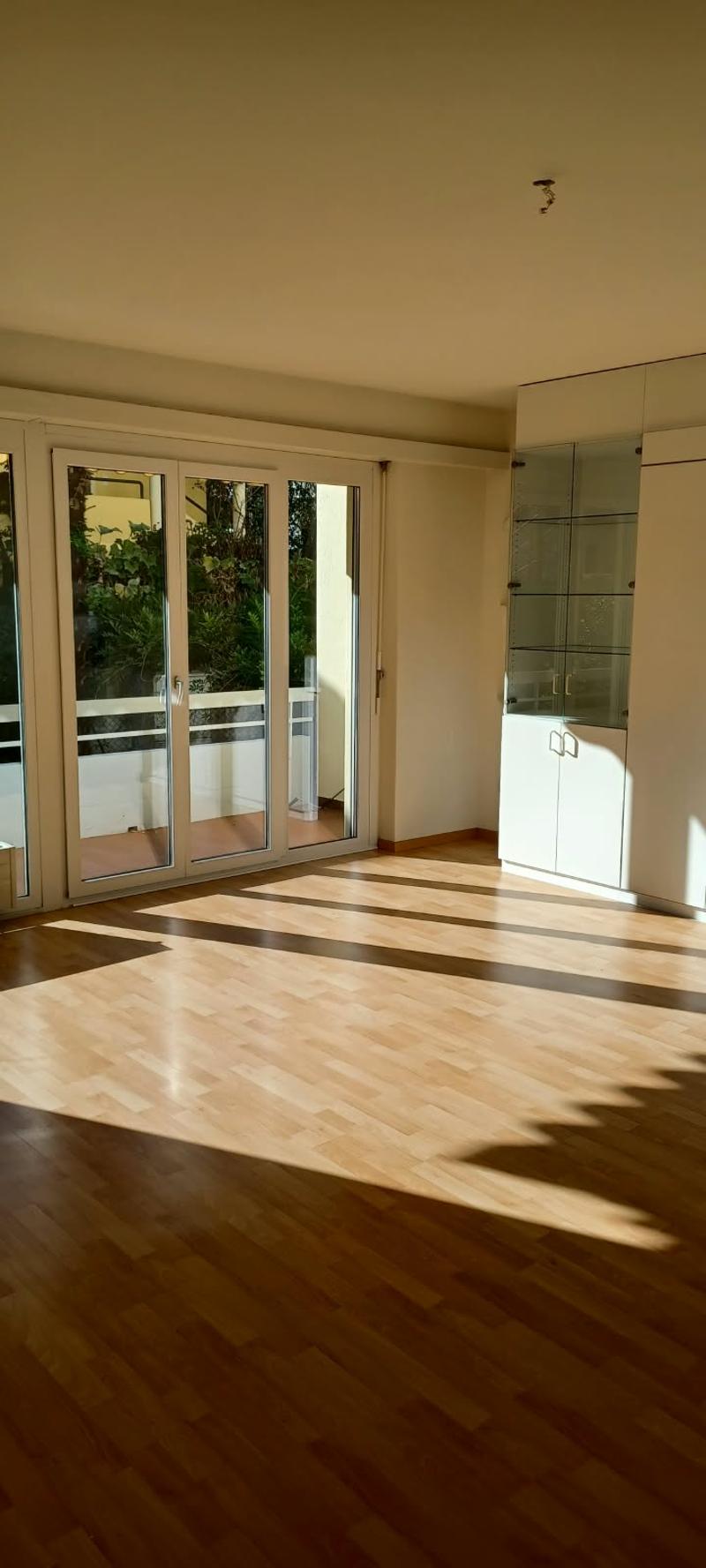 Gemütliche 1.5-Zimmer-Wohnung mit Balkon in Losone (10)