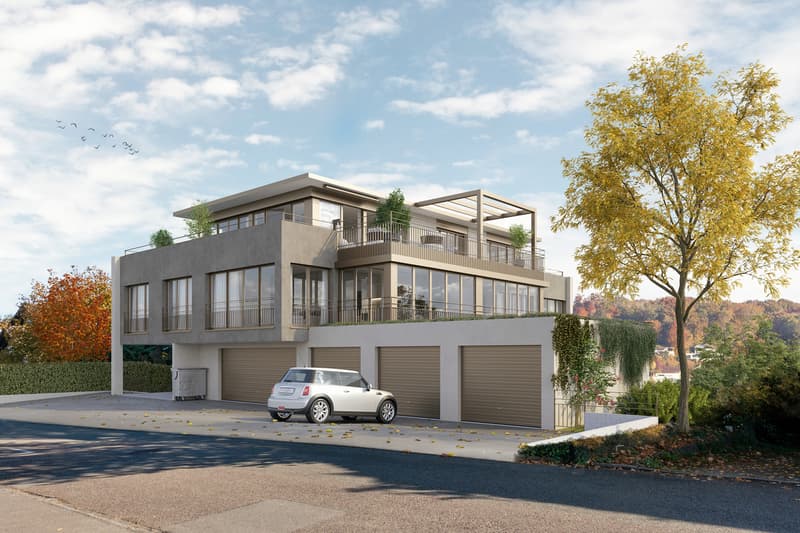 Bienenstrasse 18, 4104 Oberwil BL