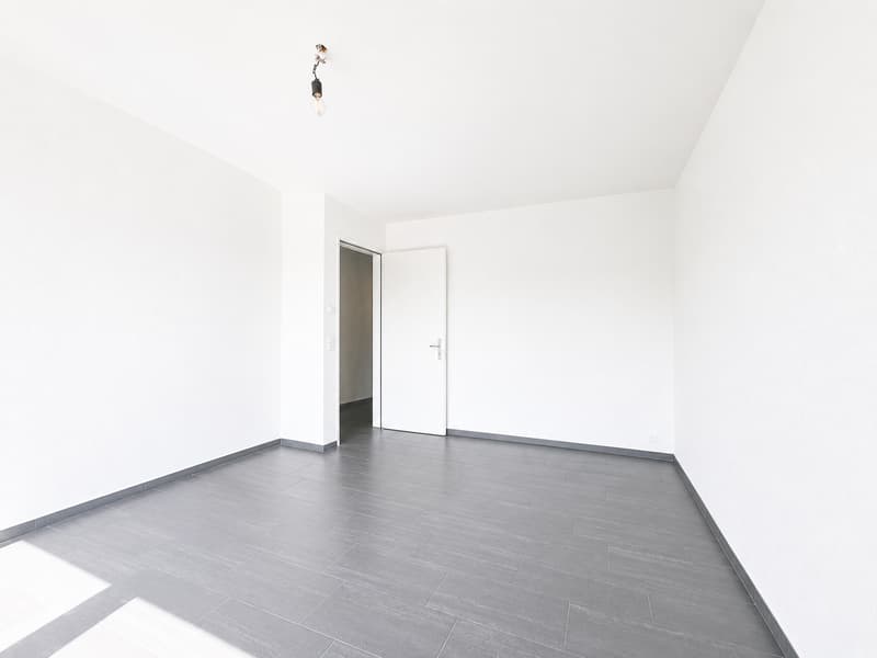 Traumhafter Blick auf die Limmat und Naherholung vor der Haustür (10)