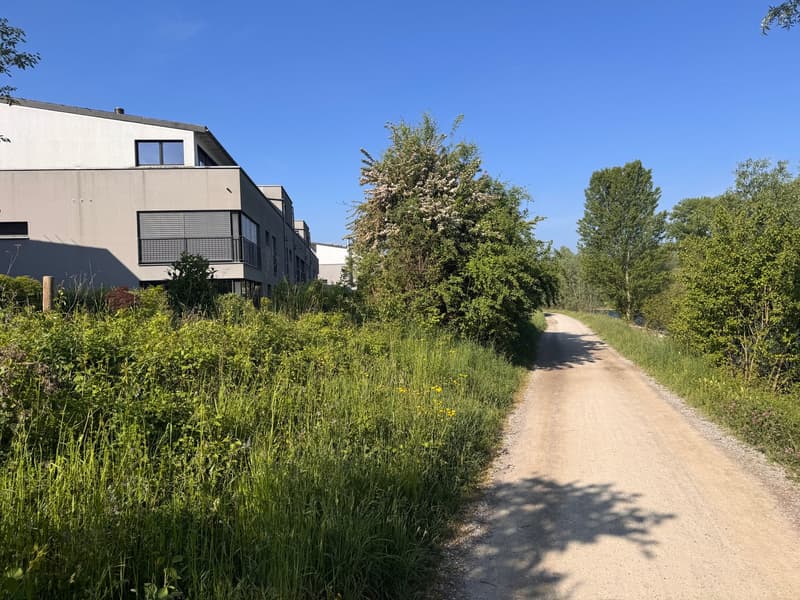 Traumhafter Blick auf die Limmat und Naherholung vor der Haustür (19)